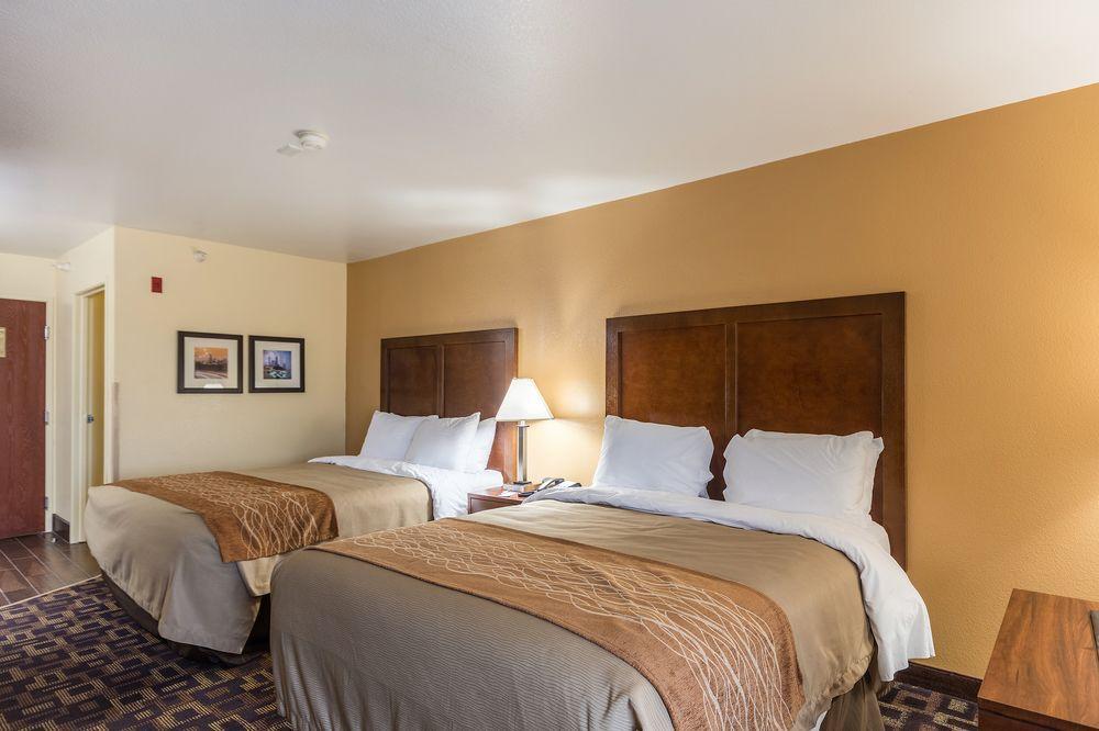 Comfort Inn & Suites North Aurora - Naperville Экстерьер фото